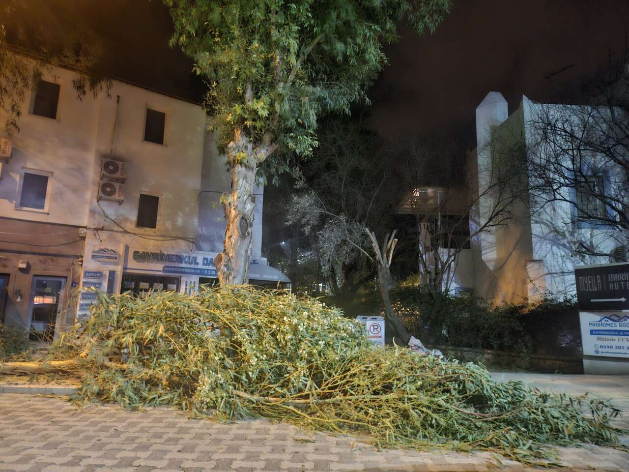 Turizm Cenneti Bodrum’u Fırtına Vurdu: Elektrikler Kesildi, Ağaçlar Devrildi, Tekne Battı 1